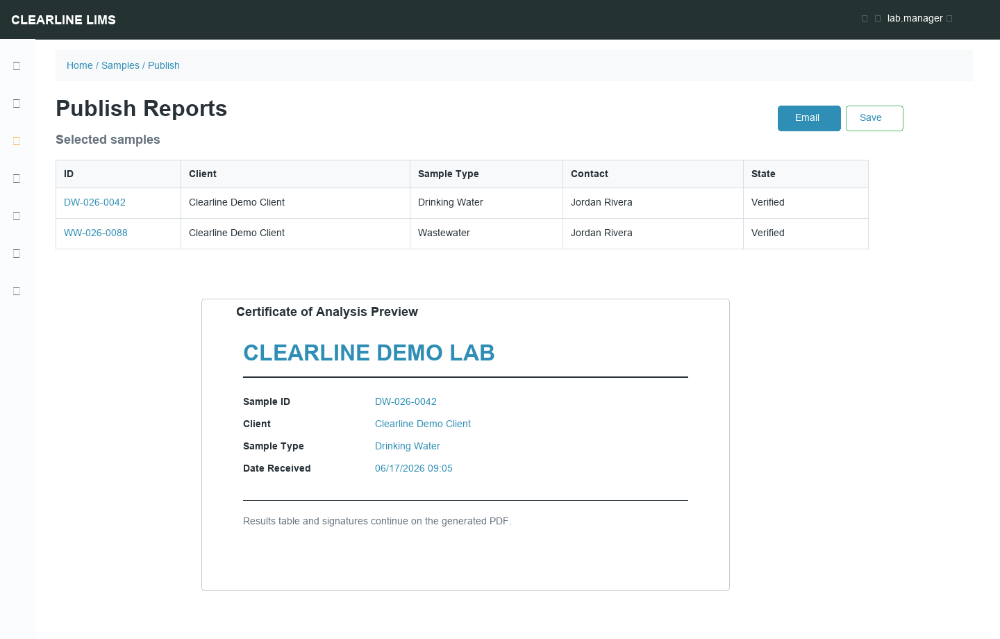 Publish report preview